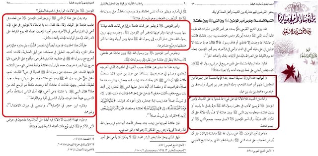 شبهة جلوس امير المؤمنين علي ع بين النبي ص واله وعائشة